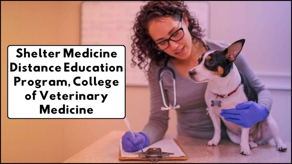 Shelter Medicine Distance Education Program